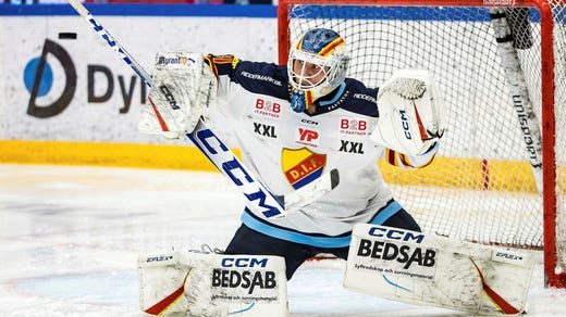 Viktor Andrén är en stabil målvakt på hockeyallsvensk nivå. Men har även spelat i SHL, bland annat med motståndarna Brynäs.