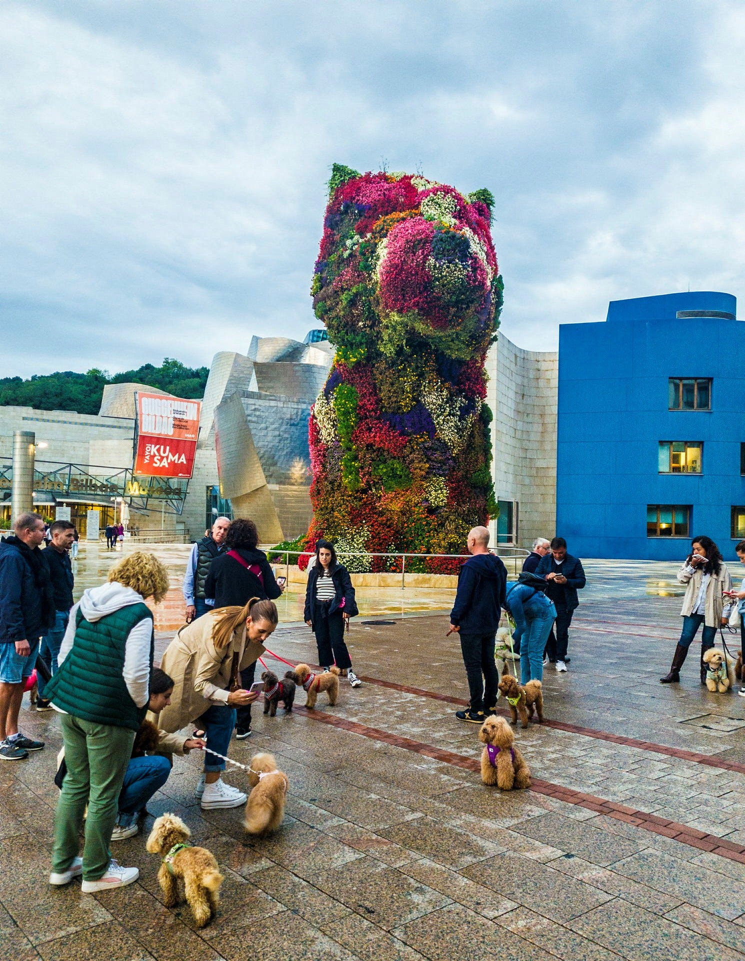 Bilbaos pudelklubb på träff vid Jeff Koons konstverk Puppy.