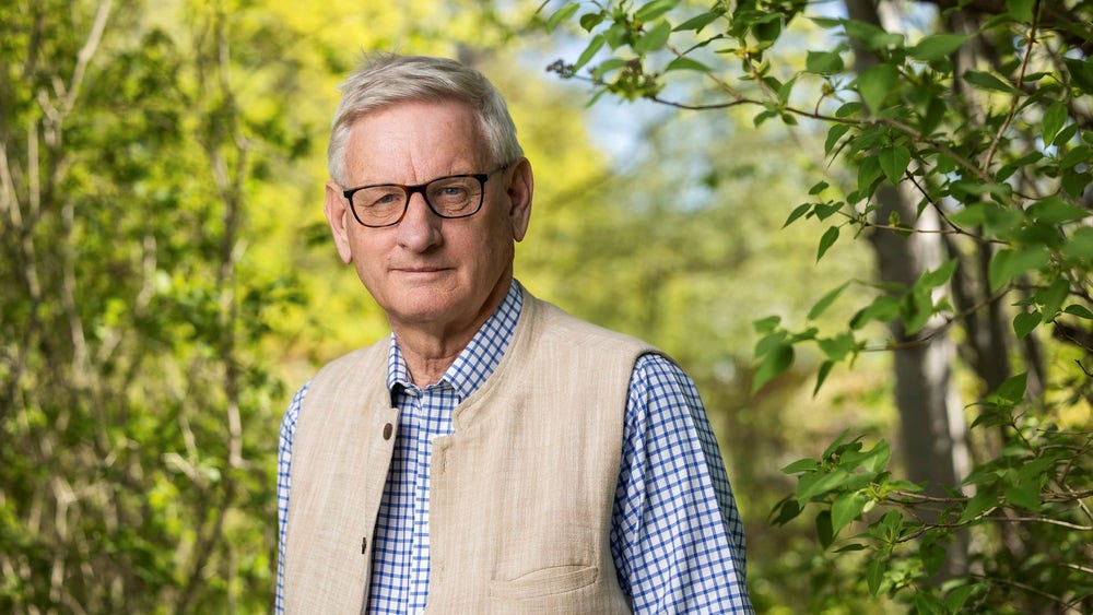 Annie Reuterskiöld: Carl Bildt kan inte sluta tänka på romarriket
