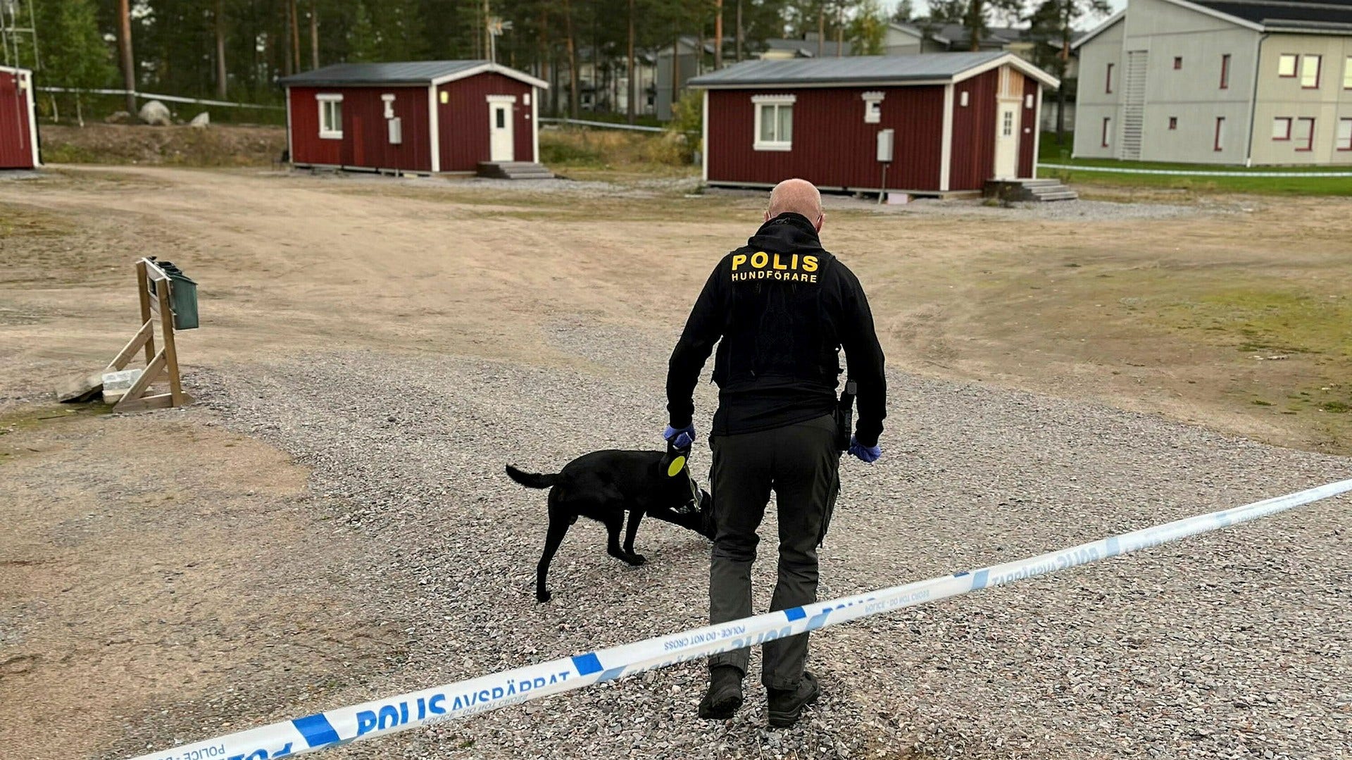 Hundföraren Roger Markaberg söker av området i Kalix där det misstänka mordet ska ha skett.