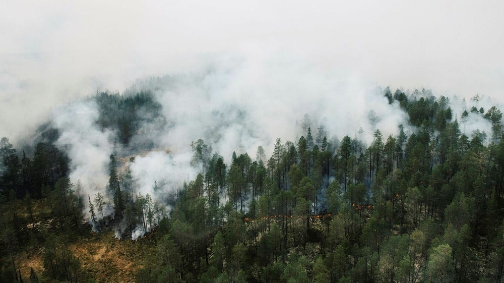 SMHI: Stor risk för skogsbränder i hela Sverige