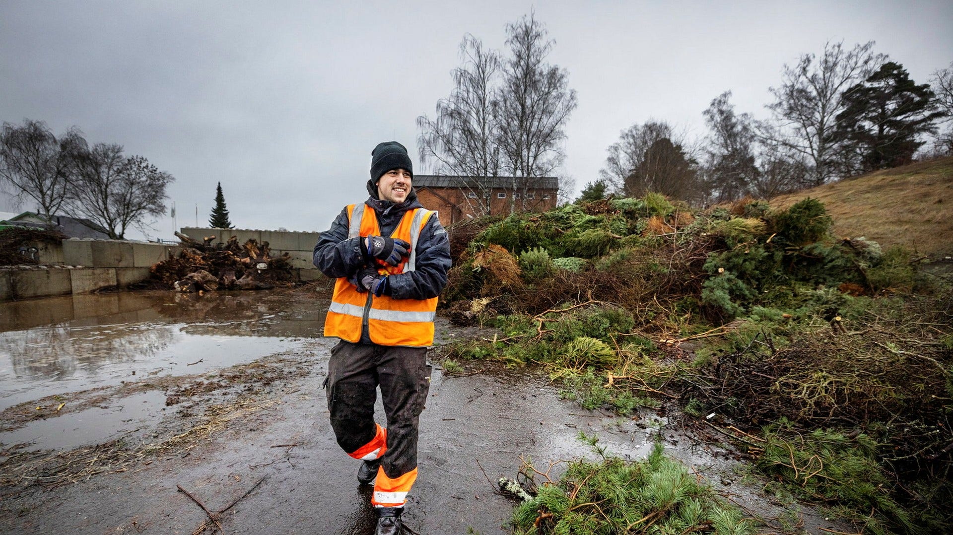 Så ska du kasta din julgran i Stockholm, och Malmö DN.se