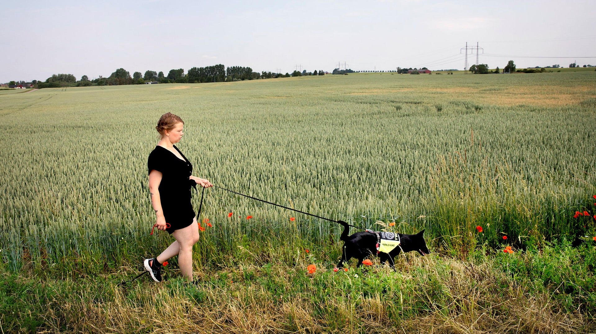 Miljövetaren Sofia Blomqvist och hunden Humla söker efter humlebon längs de skånska vägarna.