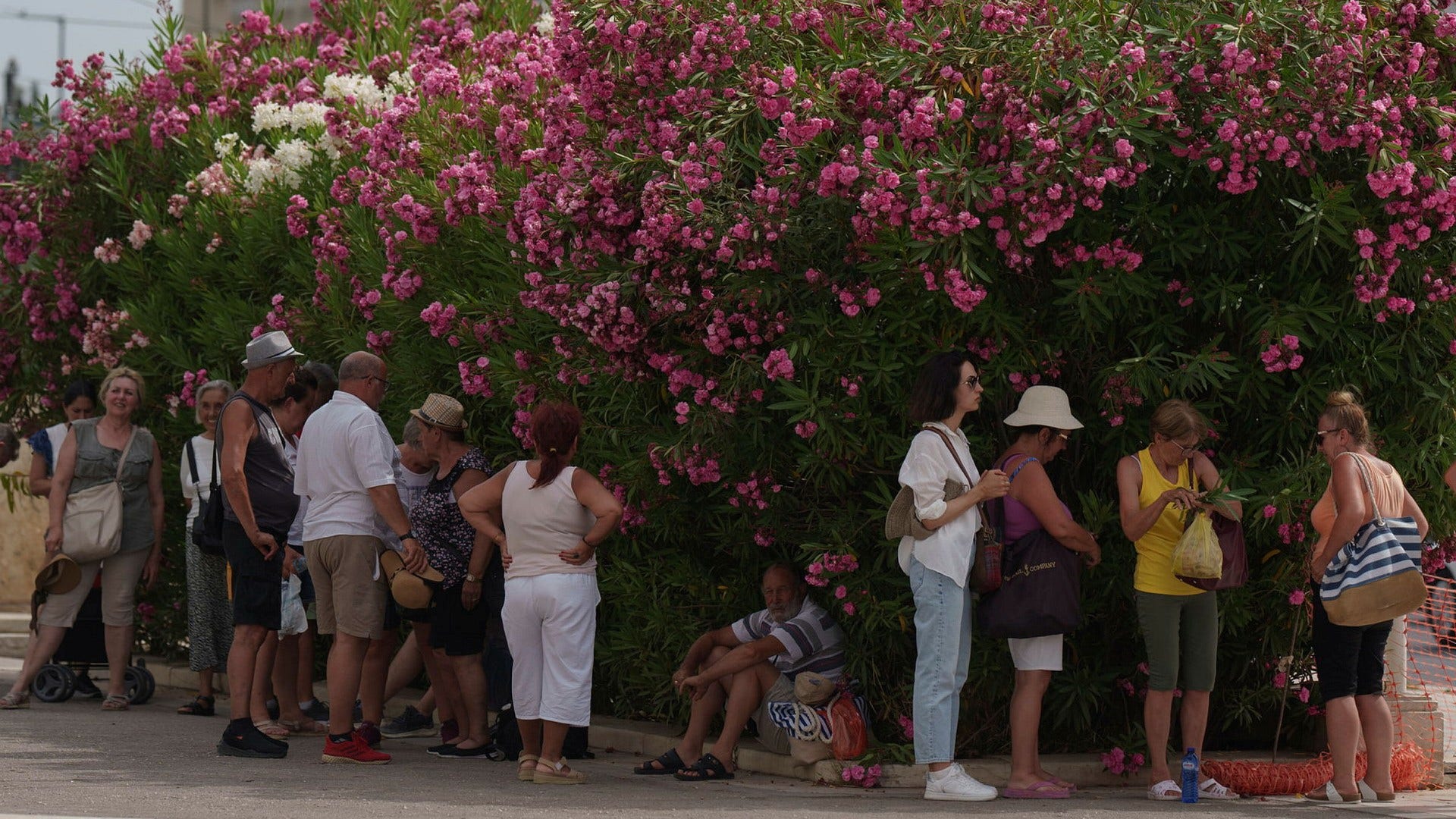 Ondata di caldo in Grecia: i turisti scompaiono