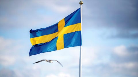 Nu varumärkesskyddas Sverige: ”Det finns åtminstone åtta Sweden i världen”