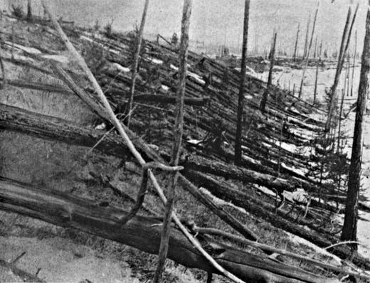 In the Tunguska eruption in Siberia in 1908, millions of trees were felled. In 1950, when this photo was taken, the effects were still clearly visible.