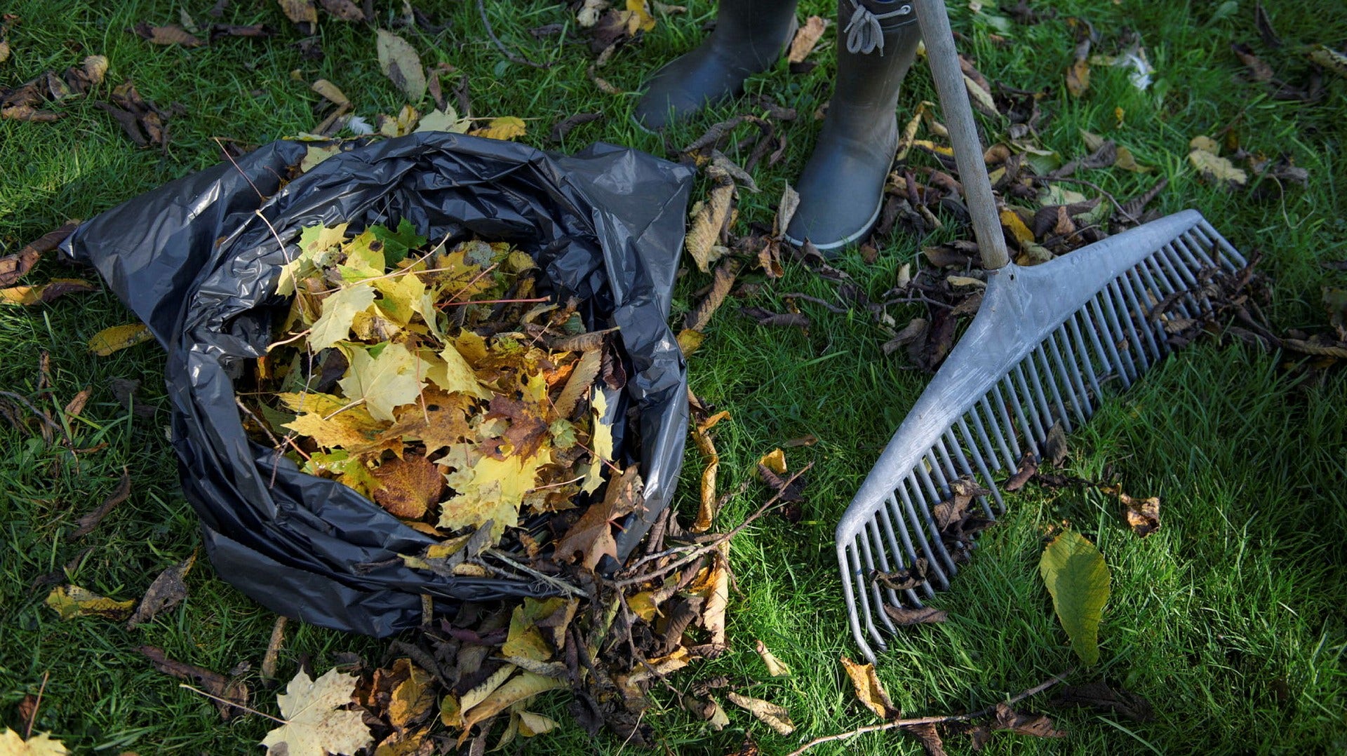 Lövkompost som gjorts av löv kan användas i trädgården som jord när dessa förmultnat, påpekar insändarskribenten.