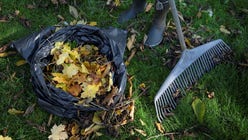 Lövkompost som gjorts av löv kan användas i trädgården som jord när dessa förmultnat, påpekar insändarskribenten.