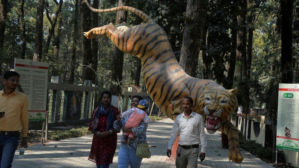Besökare på djurparken i Västbengalen kan se dussintals olika djur, bland annat lejonen Akbar och Sita.