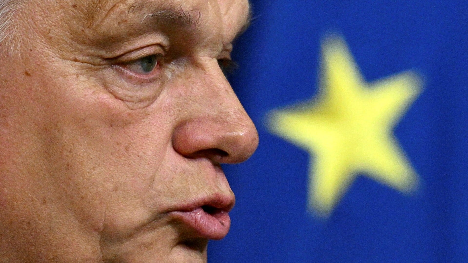 L’Ungheria, piantagrane in Europa, detiene la presidenza dell’Unione Europea.