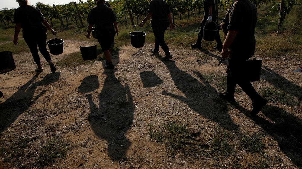33 migrantarbetare hittade på jordbruk i Italien – utsattes för ”slavarbete”