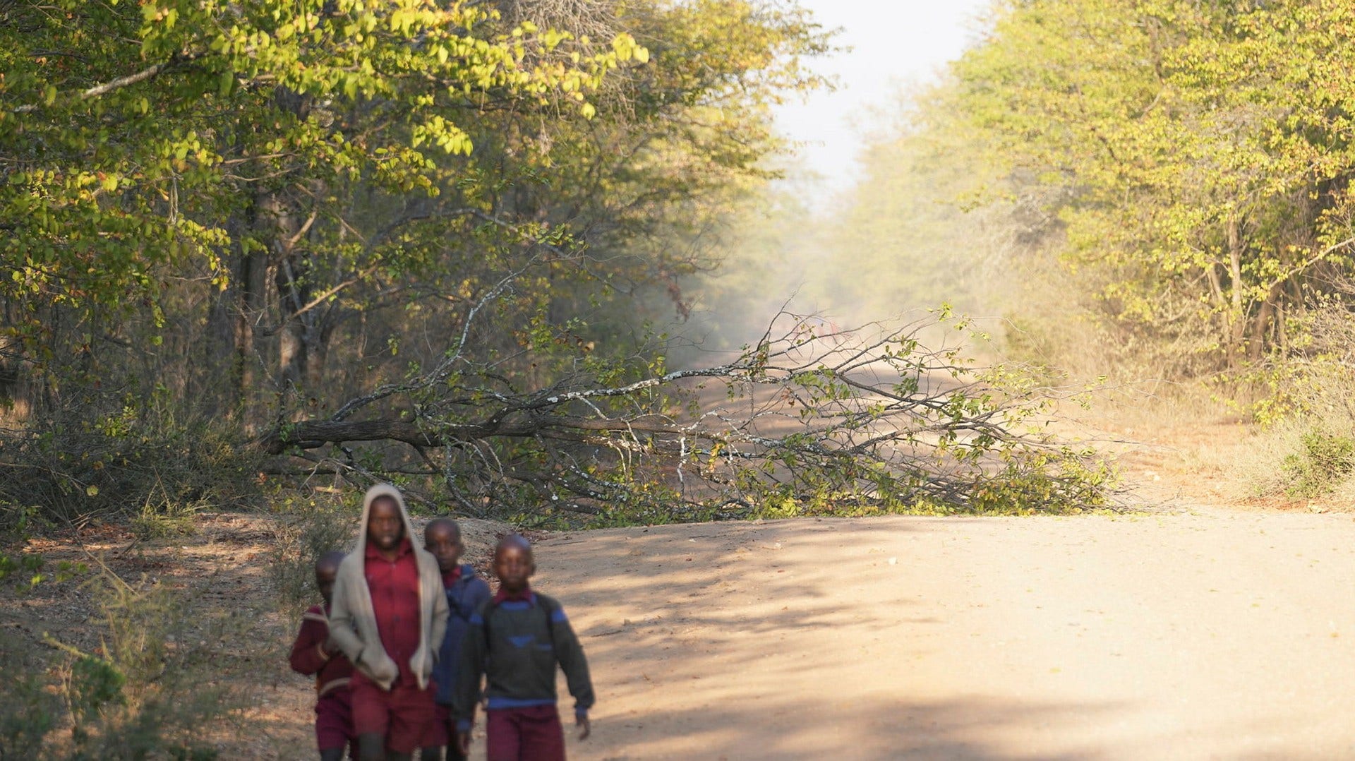 Many school children walk several kilometres through the wilderness to reach their schools.