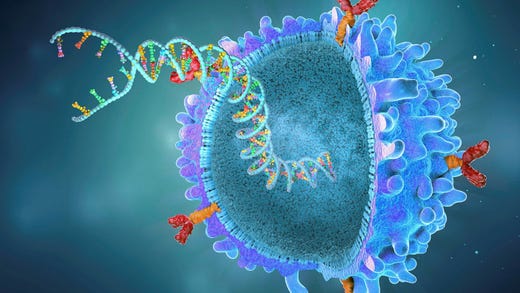 Illustration av en Car T-cell som har fått en ny gensekvens.