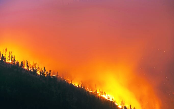 En skogsbrand utgör ett av de ämnen som avhandlas på sajten Reddit.