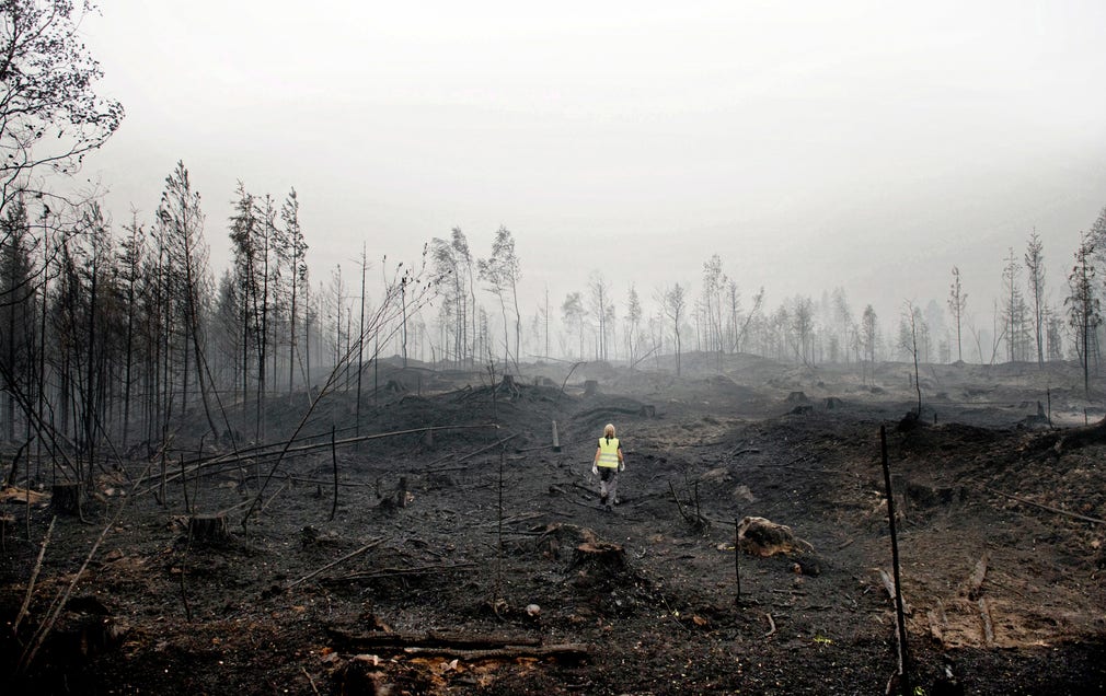 En ensam frivilligarbetare på väg in i brandområdet i Västmanland sommaren 2014. ”Den stora branden visade på behovet av gemensamma medborgerliga insatser”, skriver debattörerna.