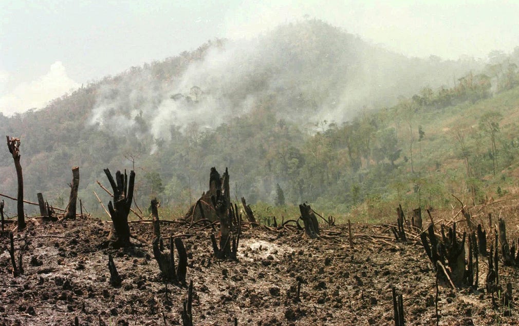 Skogsbränder är vanliga i väderfenomenets spår.