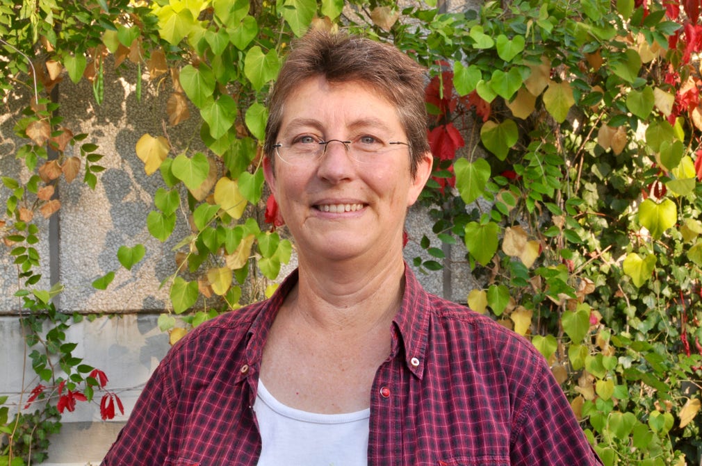 Cheryl Jones Fur, Miljöpartiet i Växjö.