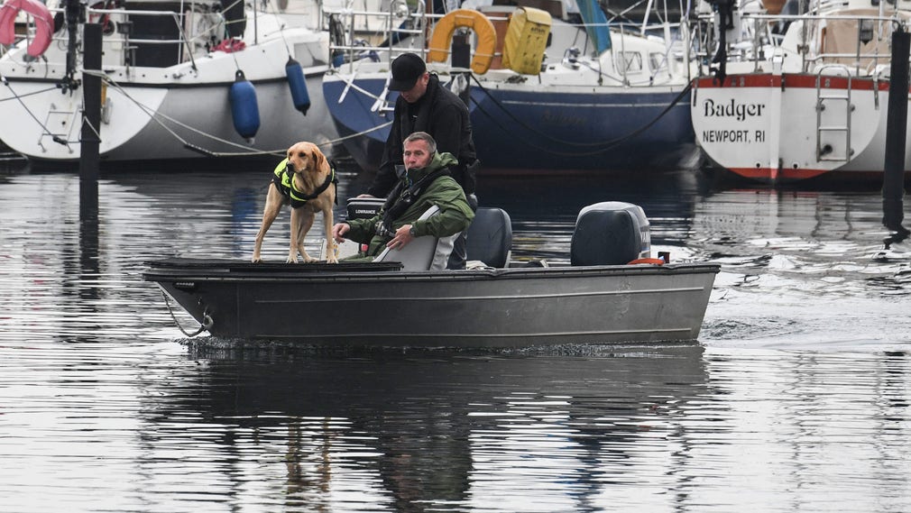 Två svenska polishundar assisterar i veckan den danska polisen i sökandet efter kroppsdelar i Kögebukten. Svensk polis har specialtränade likhundar för sökning på vatten.