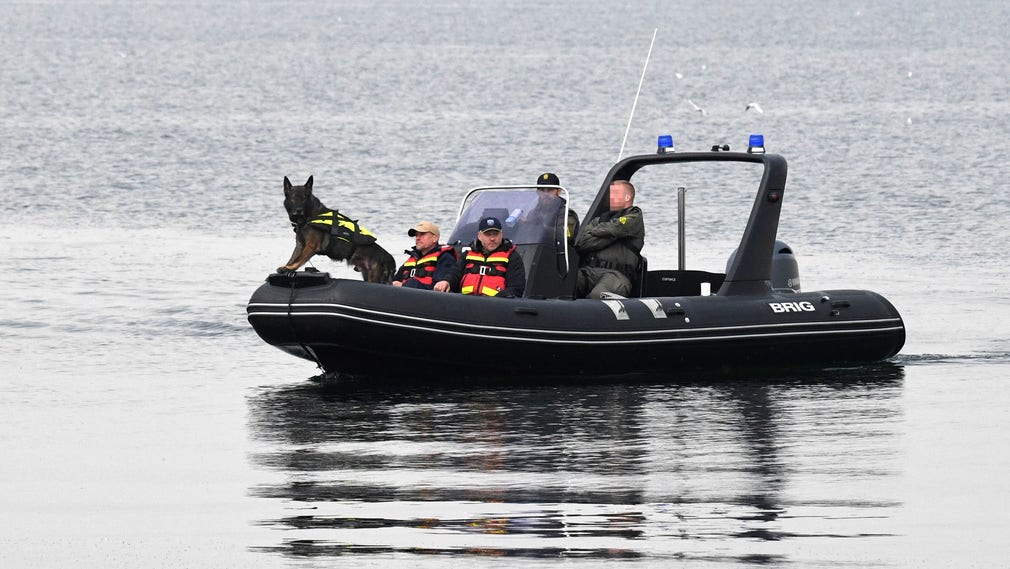 Likhunden Cross kommer från Sundsvall och assisterar den danska polisen i sökandet efter kroppsdelar i Kögebukten.