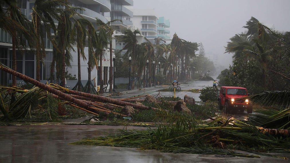 En bil försöker kryssa sig förbi nedblåsta palmer i Florida Keys.