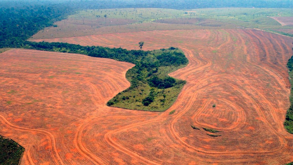 Flygbild från 2004 över Novo Progreso i Brasilien där skogen skövlats för odling av sojabönor.