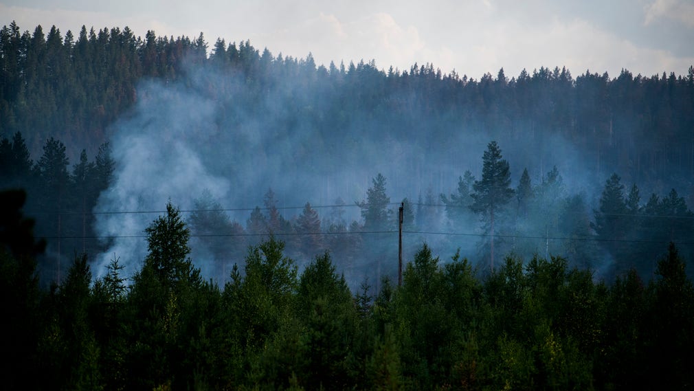 En skogsbrand i Ljusdals kommun på måndagen.