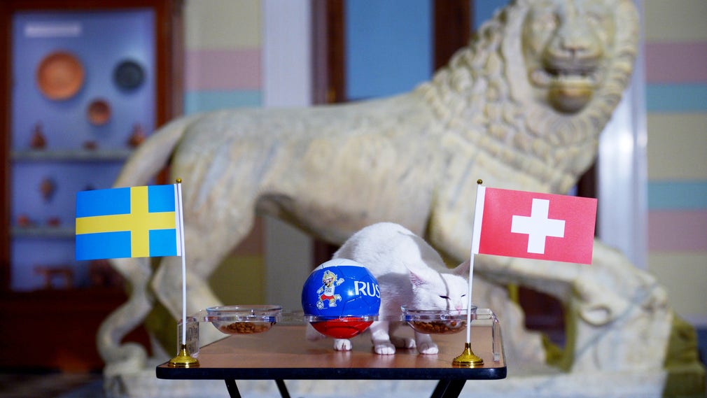 Achilles från State Hermitage Museum har inte speciellt höga tankar om Sveriges chanser.