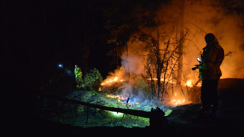 Släckningsarbete av skogsbrand i Norrköpings kommun i somras.