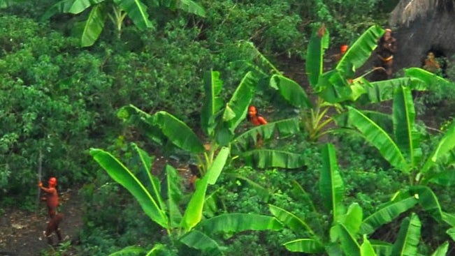Medlemmar i en isolerad stam i Amazonas.