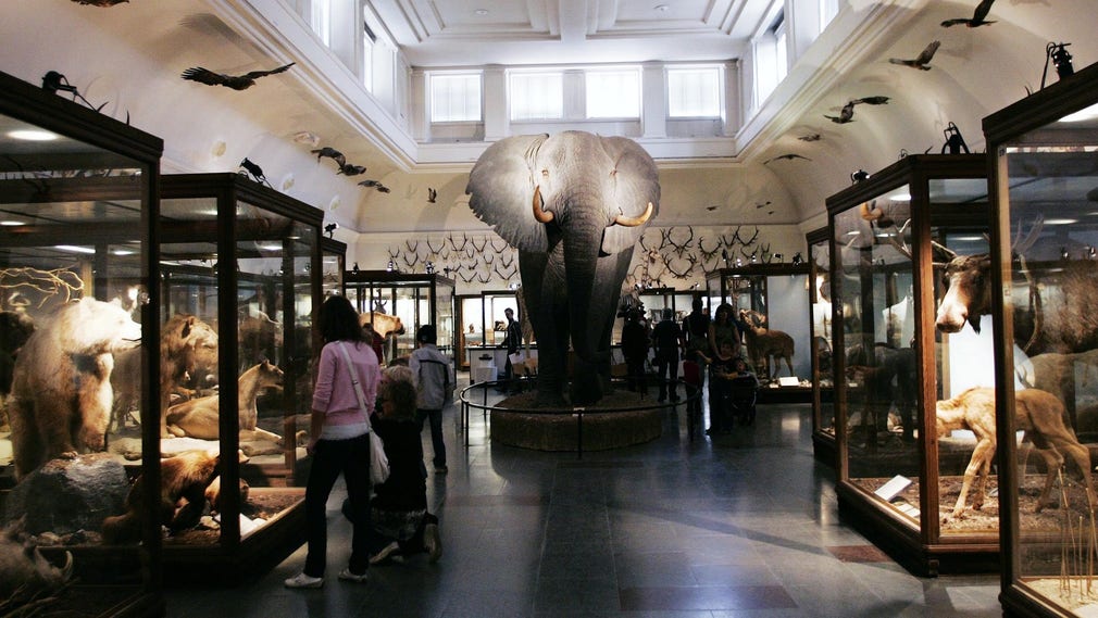 Naturhistoriska museet i Göteborg. Arkivbild.
