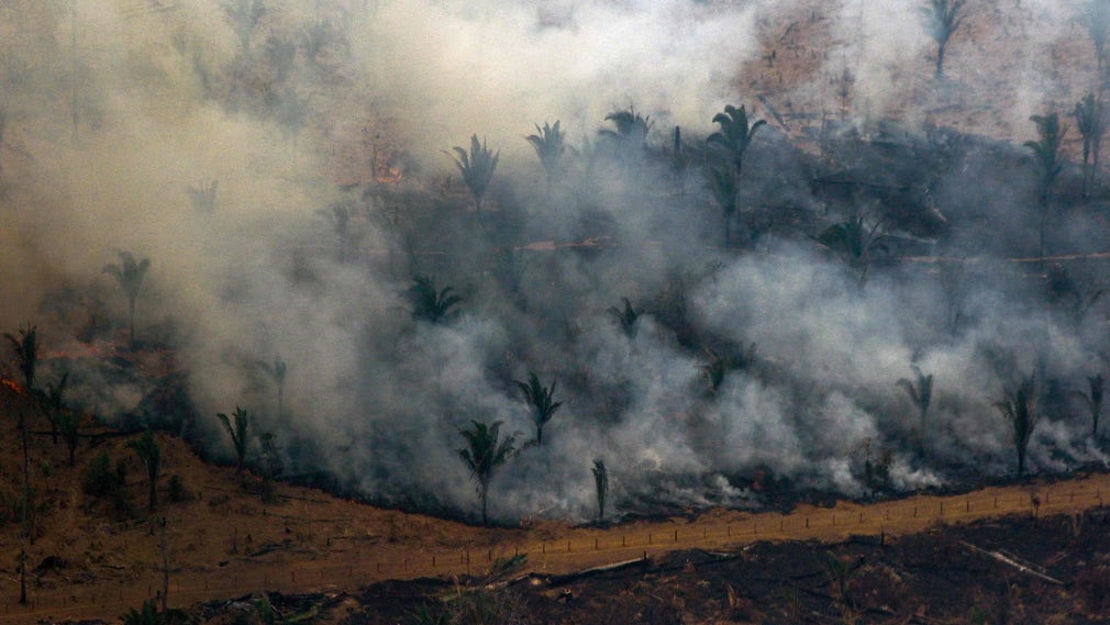 Skog bränns av i delstaten Amazonas i Brasilien i slutet av augusti 2019.
