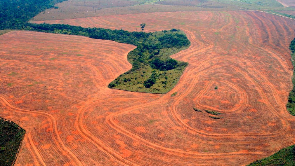 Skövling av regnskog är inte ett nytt fenomen i Brasilien. På den här bilden från 2004 syns ett område i Novo Progreso, Para, som skövlats av odlare av sojabönor.