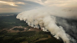 Utredningen av skogsbranden i Västmanland visade på stora brister på alla nivåer, skriver utredaren Aud Sjökvist.