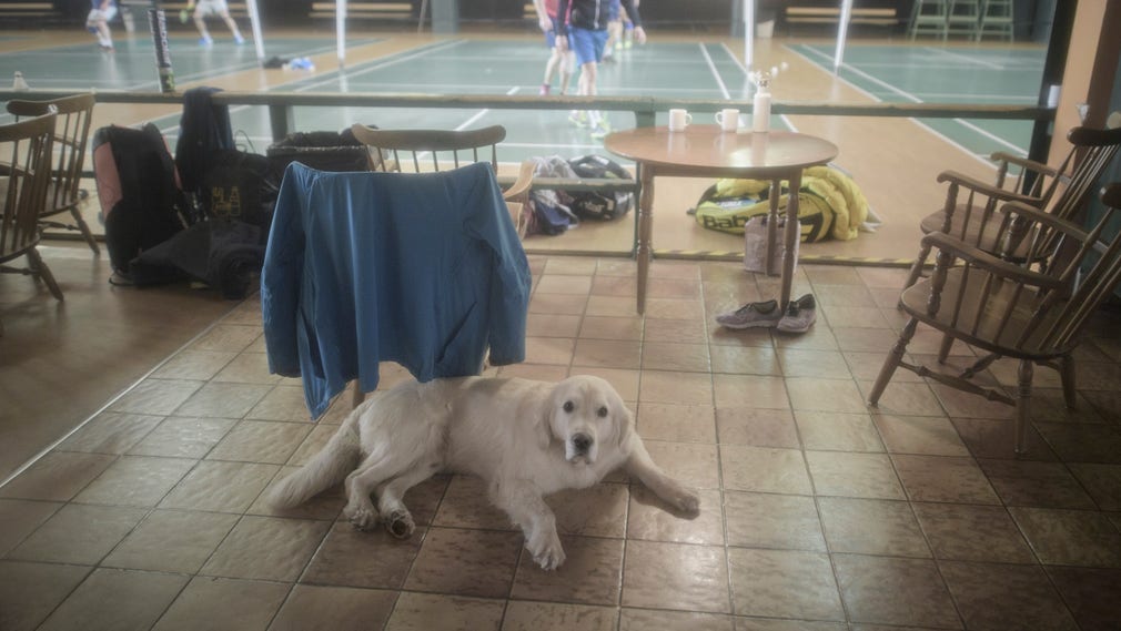 Viruset avskräcker dock inte alla. I badmintonhallen väntar hunden Bosse på att husse ska spela klart.