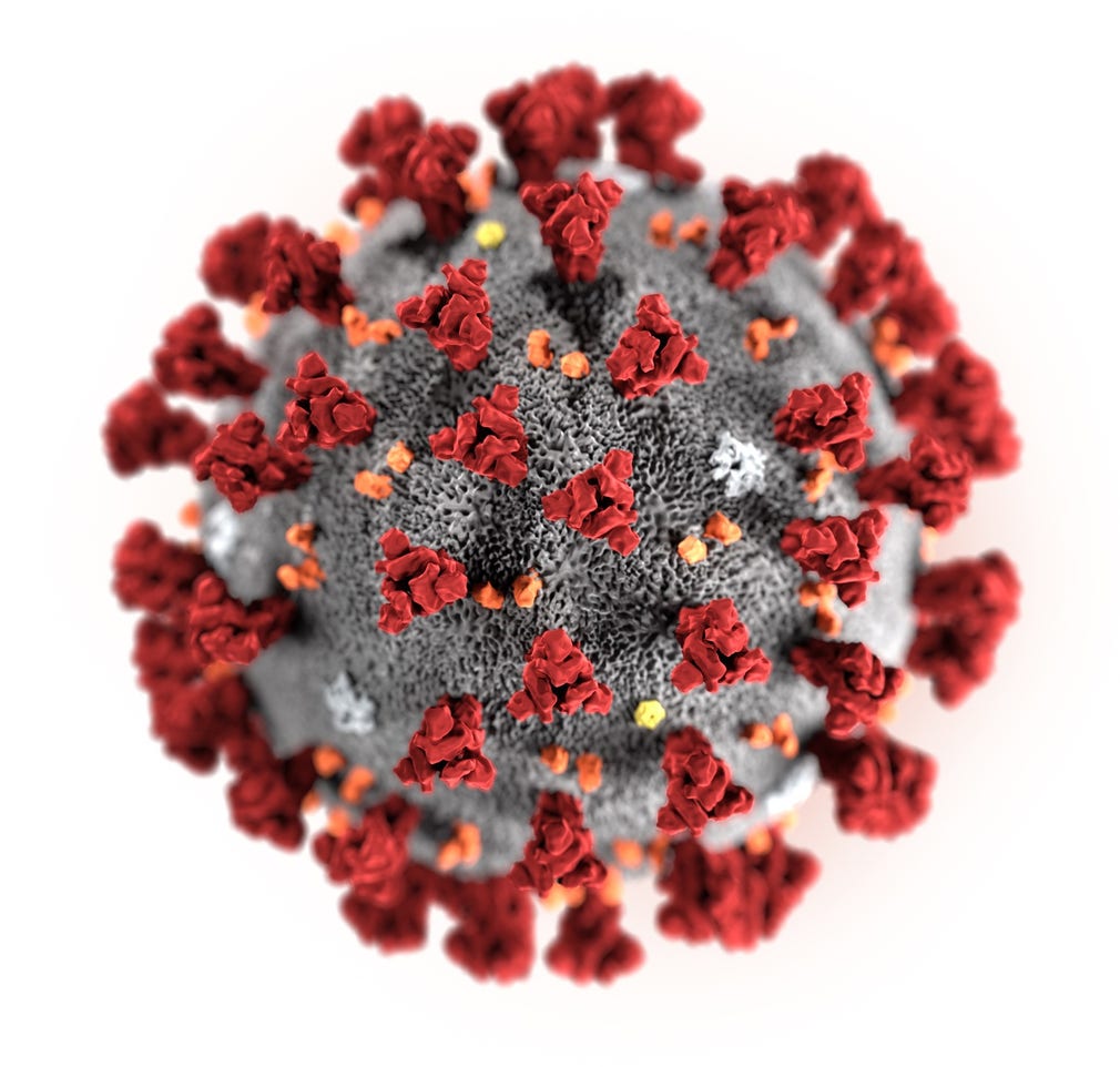 Det finns massor av coronavirus, men bara sju orsakar sjukdom hos människor.