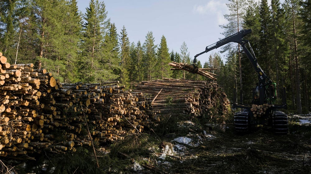 EU:s tvärvändning skrämmer skogsindustrin: ”Jag är väldigt orolig”