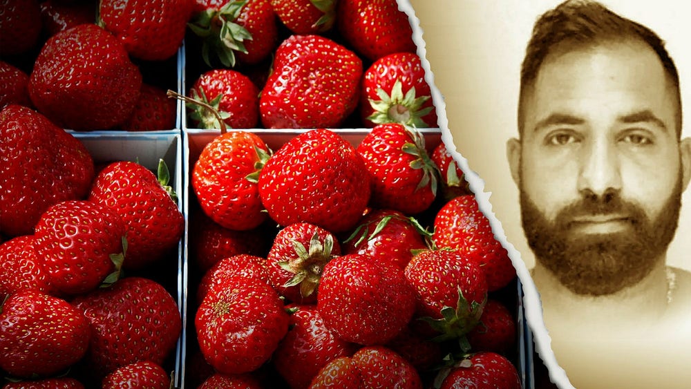 Larmet inför midsommar: Gängkriminella jordgubbar