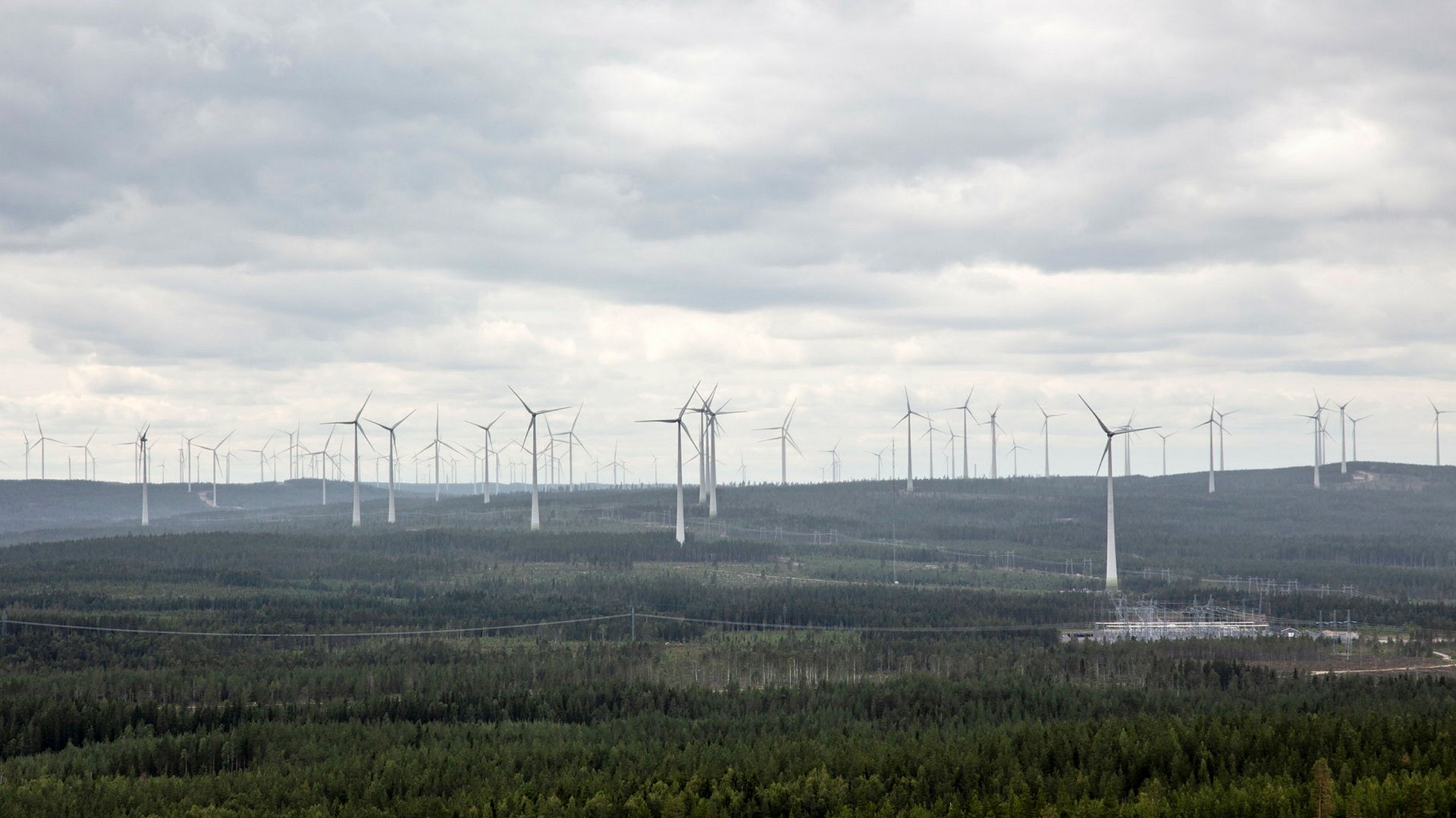 Elpris Idag - Aktuella Spotpriser Och Dagens Elpris