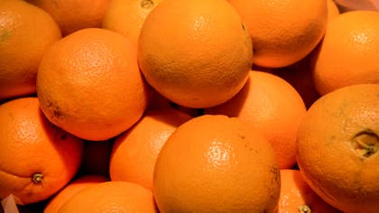 Den värsta apelsinskörden på 36 år väntas i Brasilien.