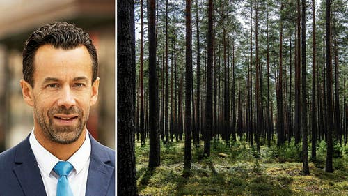 Handelsbankens skogsanalytiker Christian Kopfer.