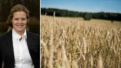 Yaras Sverigechef Tina Vinnerborg kommenterar lanseringen av bolagets gröna gödsel.