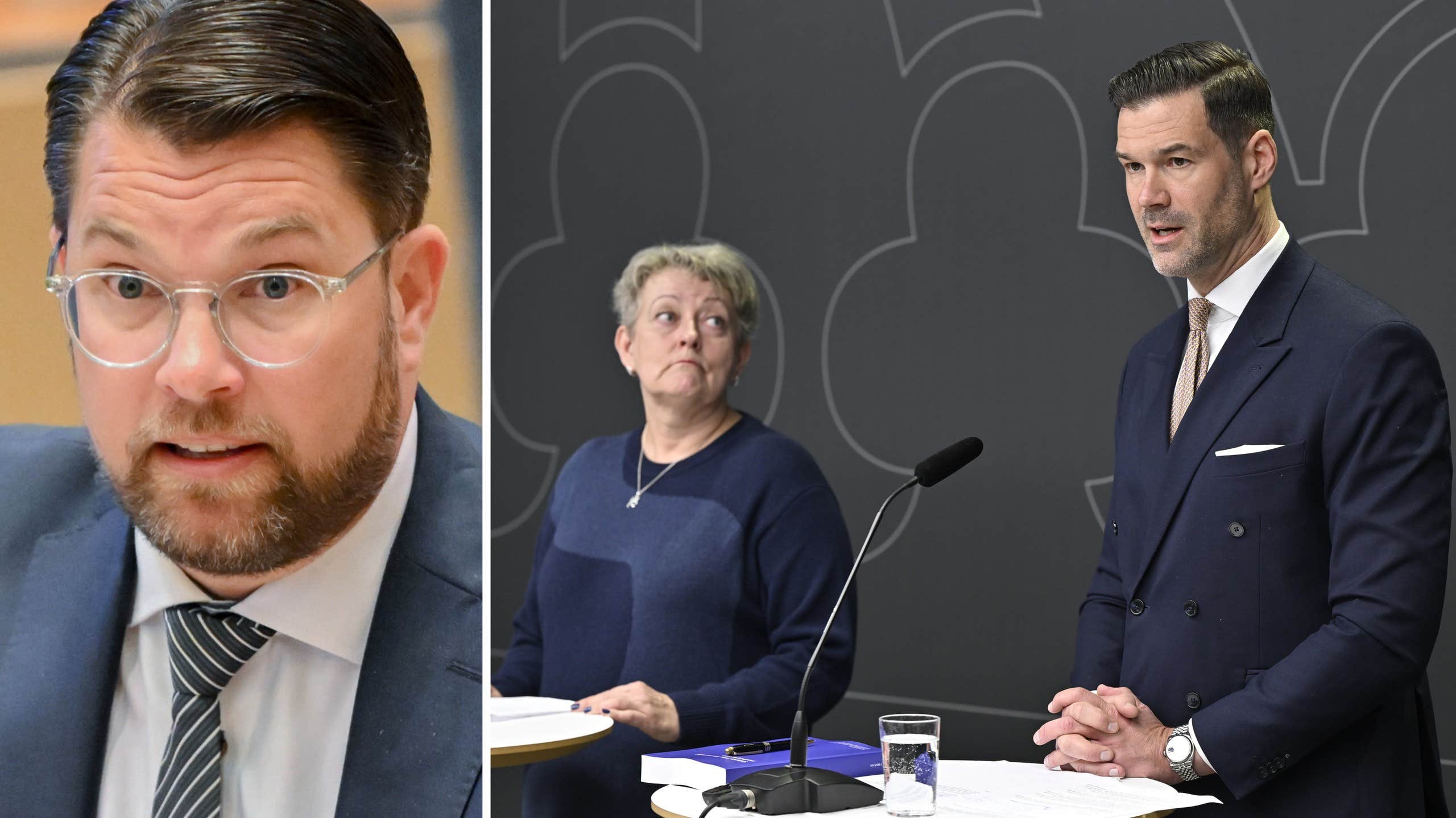 Jimmie Åkesson: Kommer ta strid för lojalitetsförklaring