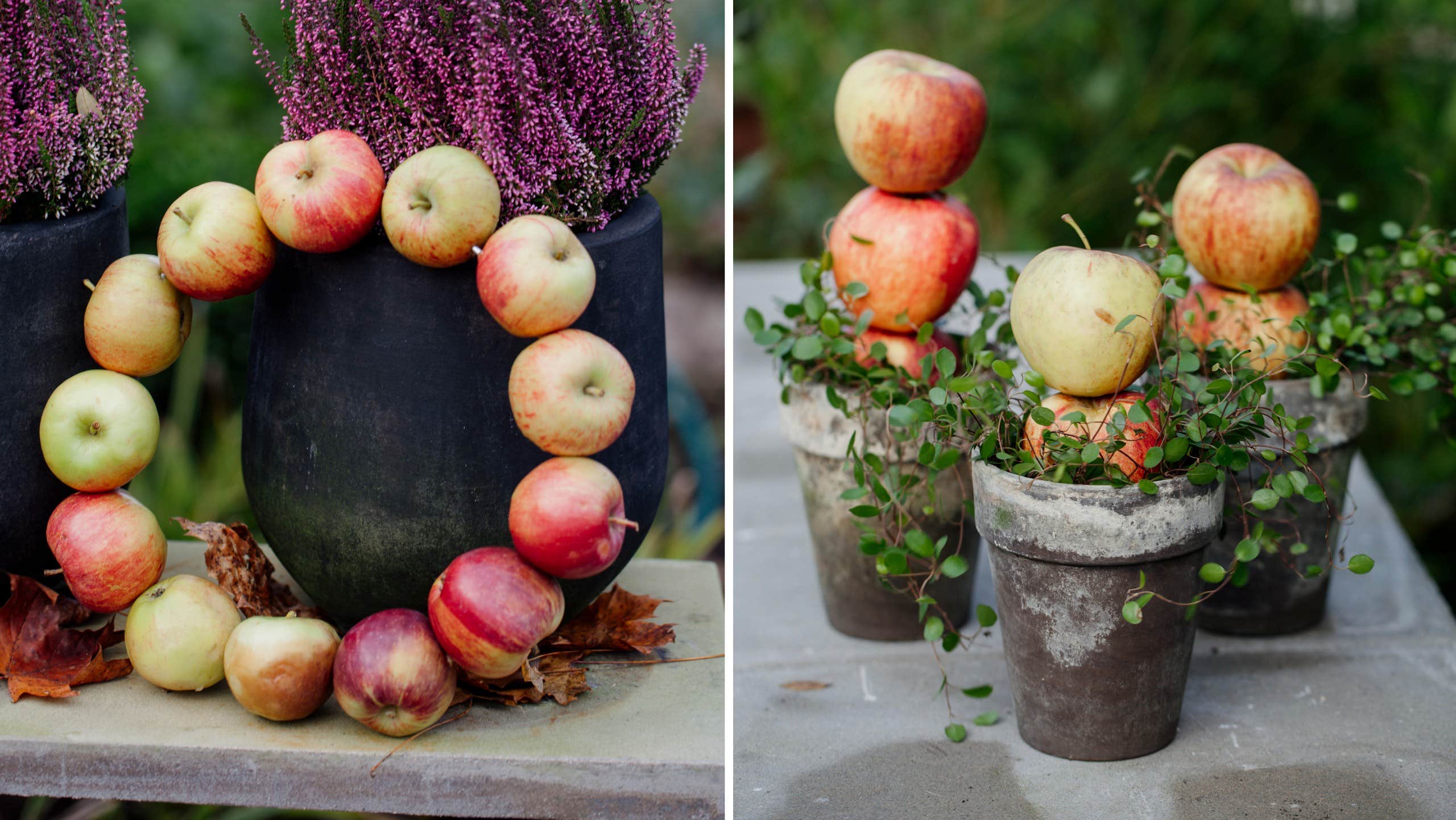 Make the most of all the apples – four beautiful decorations