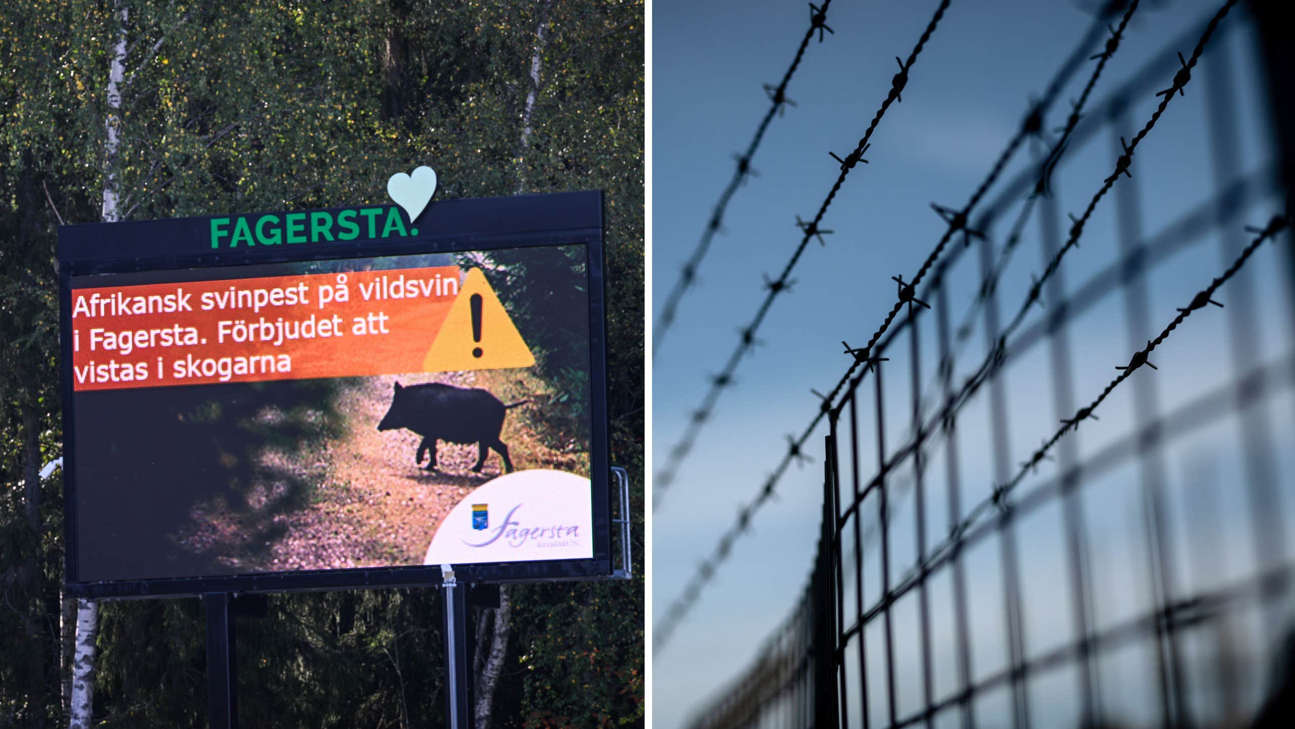 Norges forslag: heve barrieren mot Sverige |  Verden