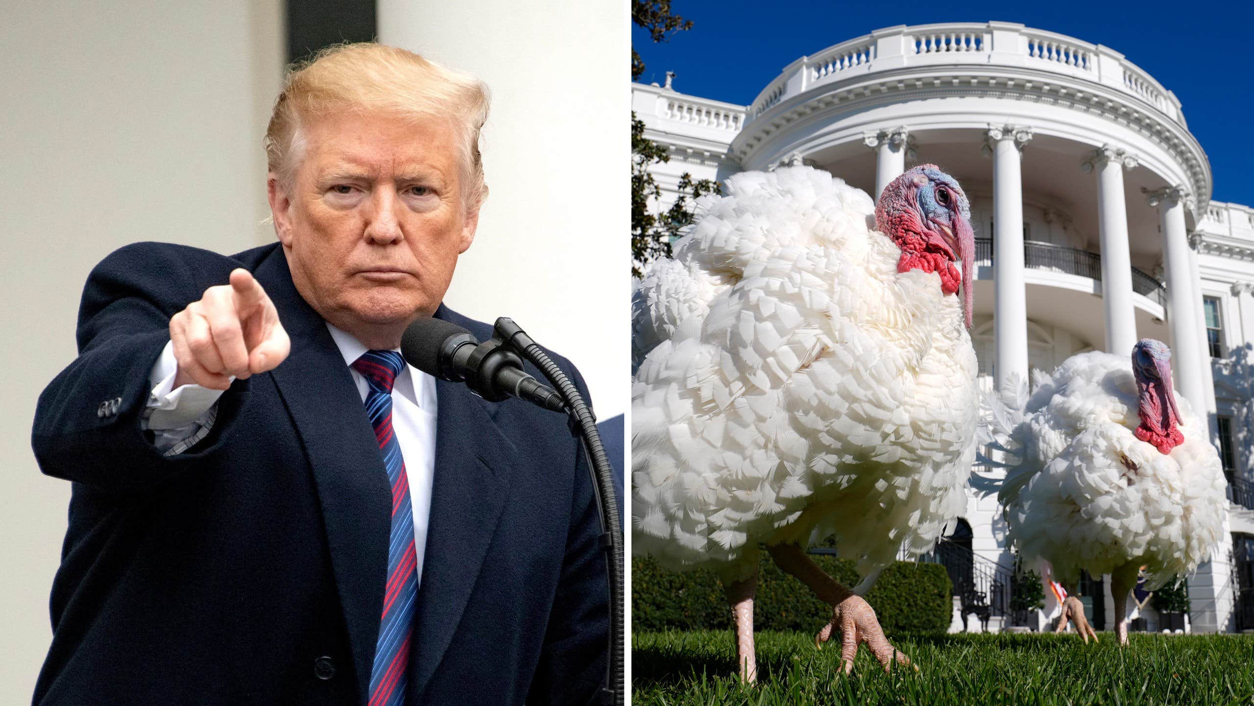 Trumps hälsning på thanksgiving: ”Vänstergalningar”