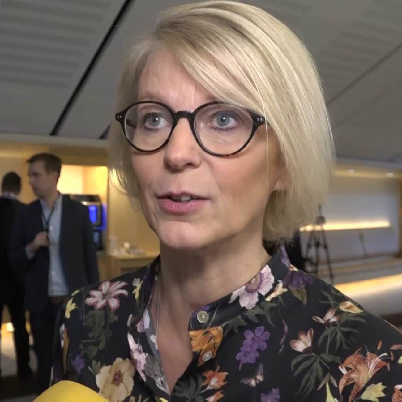 Elisabeth Svantesson, Moderaterna, Om Budgeten