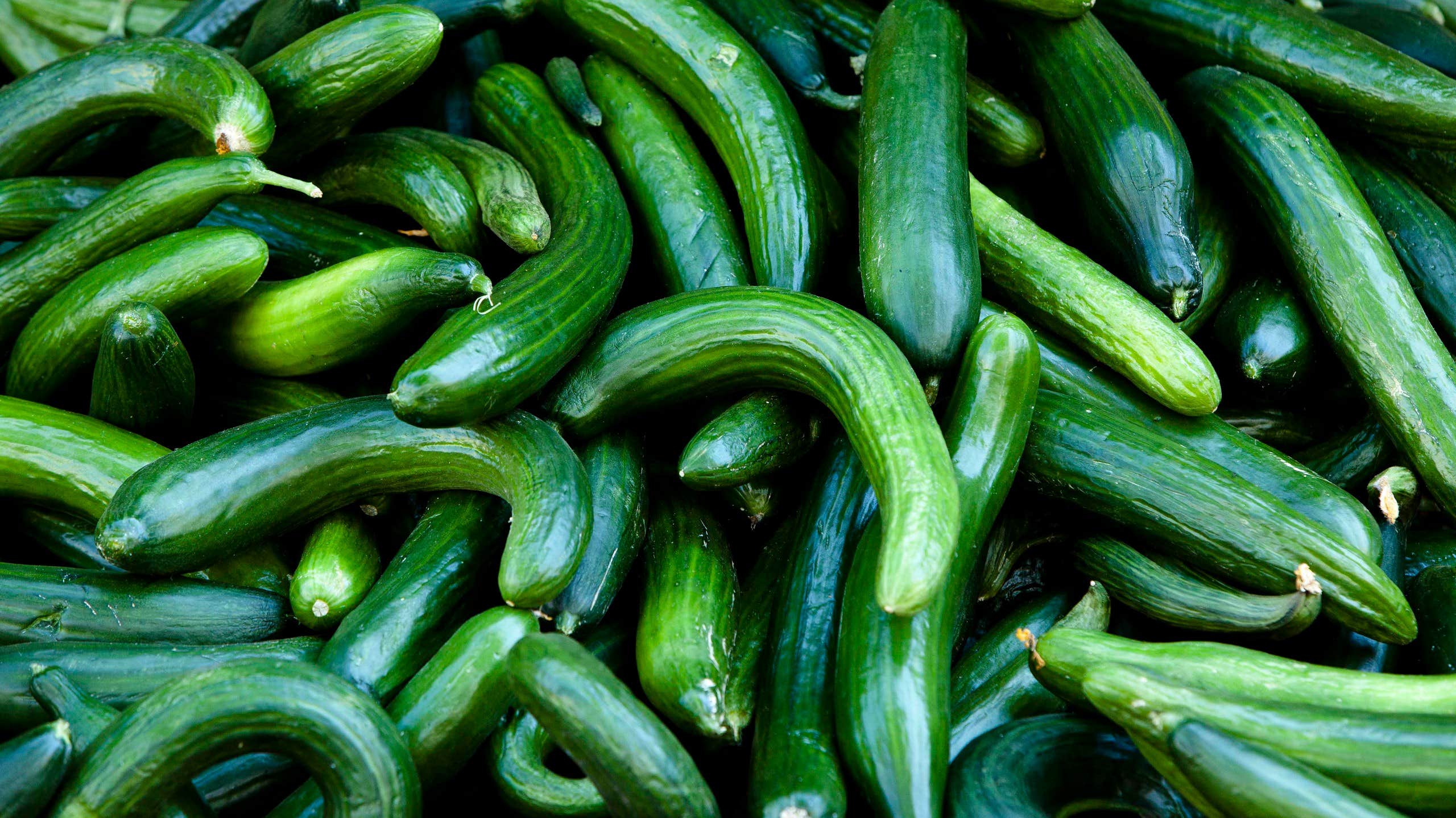 Cucumber Shortage in Iceland – Following Viral Trend | World