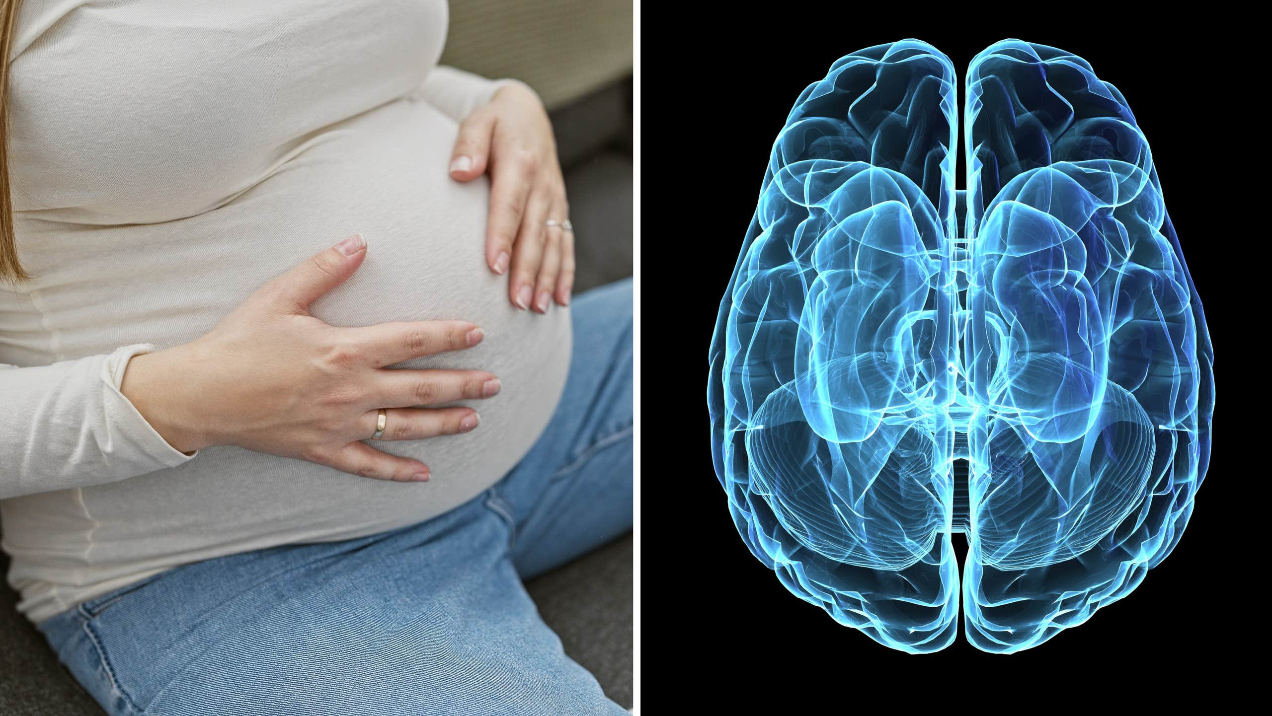 Women's brain shrinks during pregnancy | Pregnant |