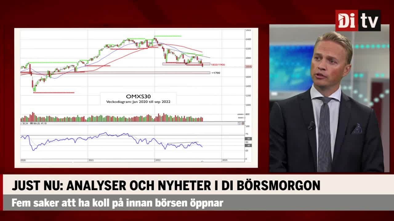 Aktiechefen om börsen ”Sannolikt lägre nivåer under hösten”