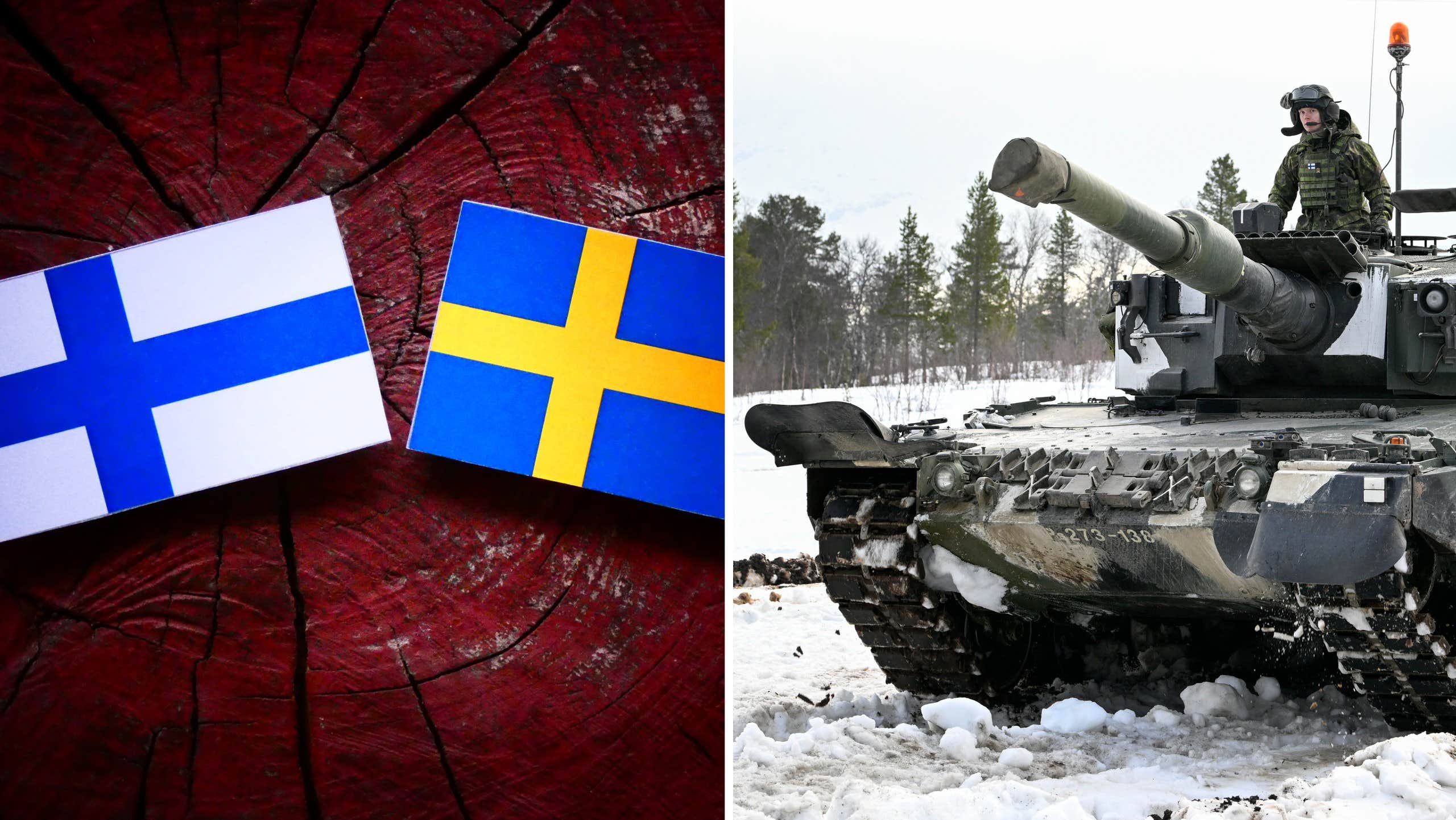 Förslaget: Bro mellan Finland och Sverige